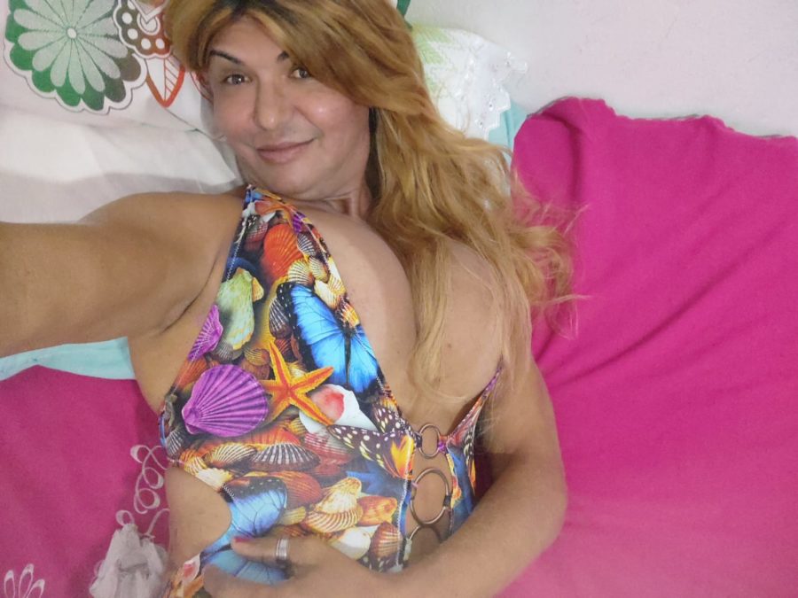 Acompanhante Trans Rebeca Alves em Teresina - Foto 64 - Transex Brasil