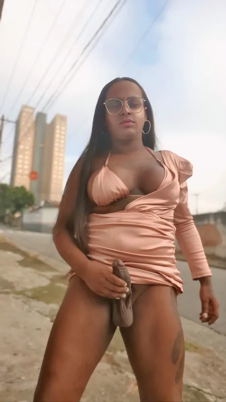Acompanhante Trans Renata Barbosa em Santo André