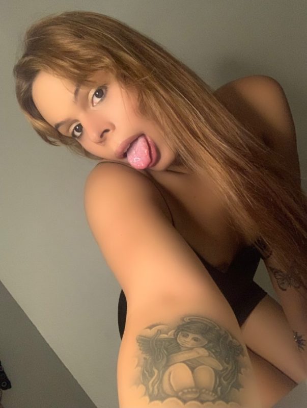 Acompanhante Trans Sarinha Safada em Ribeirão Preto - Foto 12 - Transex Brasil