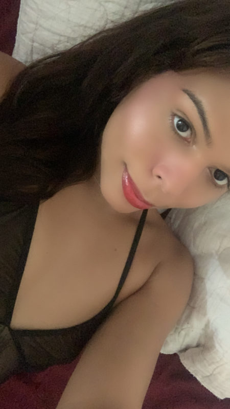 Acompanhante Trans Sarinha Safada em Ribeirão Preto - Foto 23 - Transex Brasil