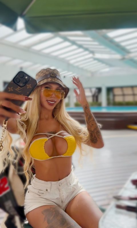 Acompanhante Trans Stella Vasconcellos em Goiânia - Foto 26 - Transex Brasil