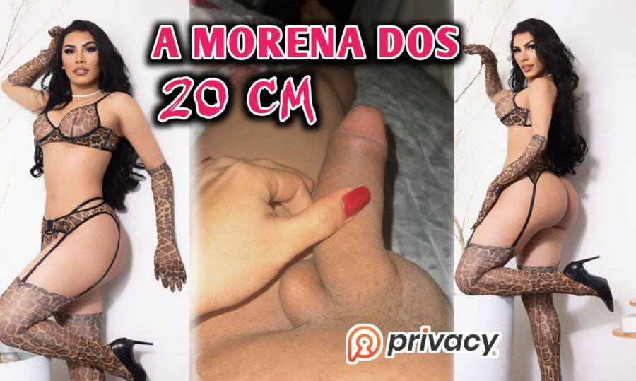 Acompanhante Trans Suellen Oliveira em Curitiba - Foto 79 - Transex Brasil