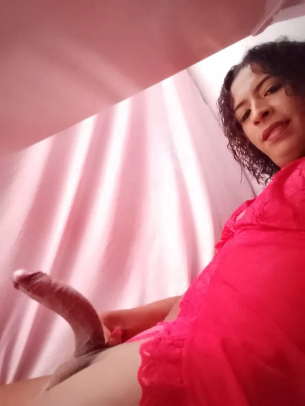 Acompanhante Trans Thassia Muniz em Recife - Foto 68 - Transex Brasil