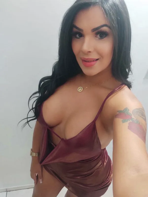 Acompanhante Trans Vanessa Boaventura em Concórdia - Foto 65 - Transex Brasil