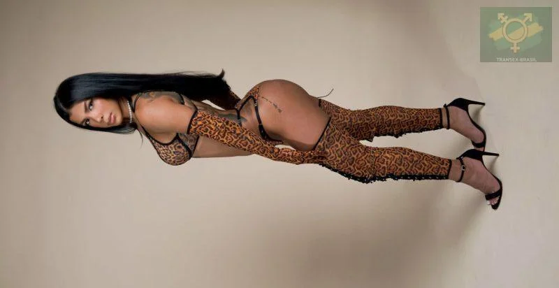 Transex acompanhante Salvador,  Vanessa Cedraz