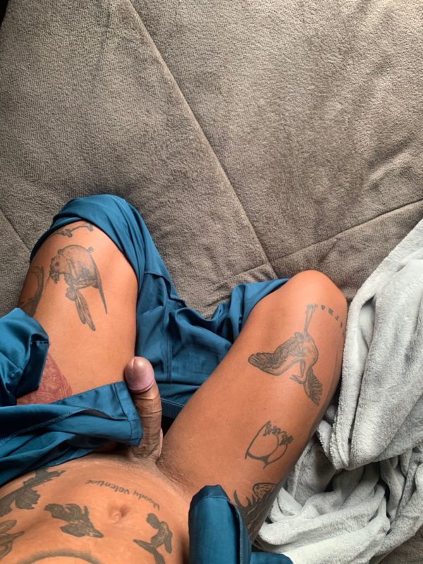 Acompanhante Trans Violeta em Florianópolis - Foto 15 - Transex Brasil