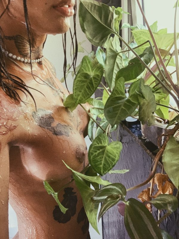 Acompanhante Trans Violeta em Florianópolis