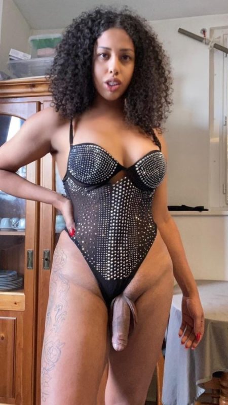 Acompanhante Trans Yasmin Salimenni em Santos - Foto 68 - Transex Brasil