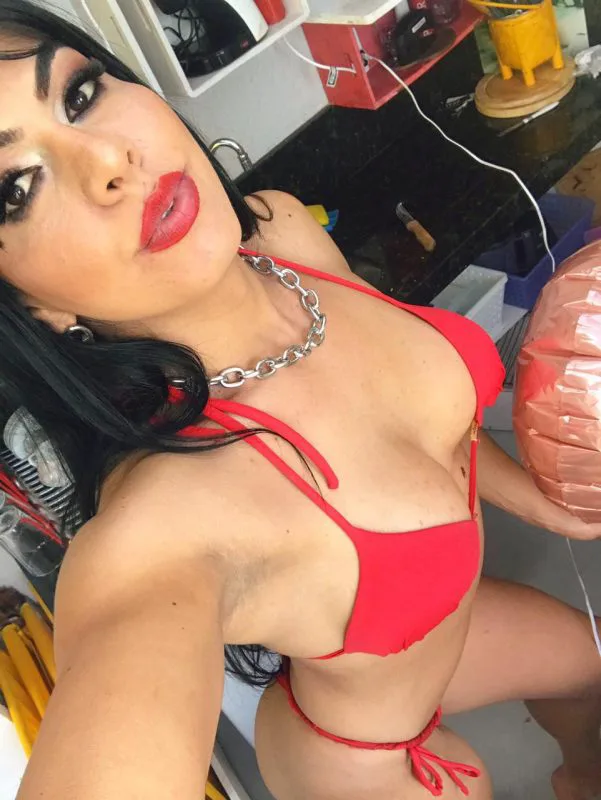 Acompanhante Trans Yza Sedutora em Joinville - Foto 46 - Transex Brasil